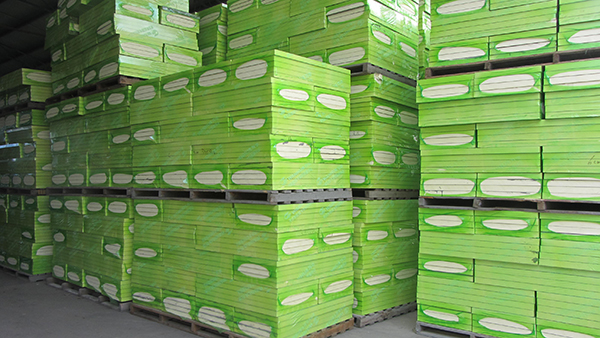 腾博会官网·专业效劳,诚信为本